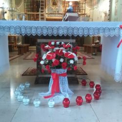 img 20181113 101902 20181207